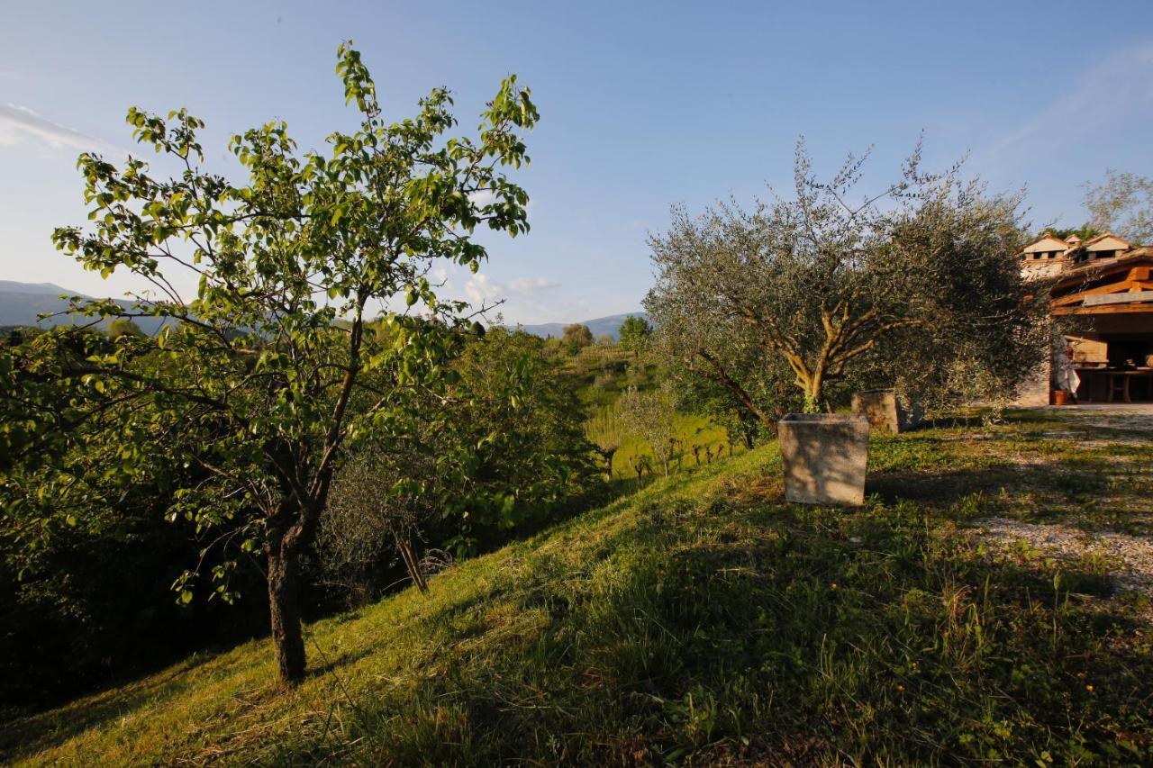 Asolo Norah'S Hill Agri Rooms Monfumo Exterior photo