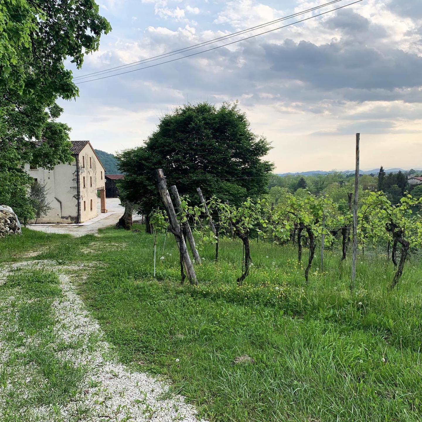Asolo Norah'S Hill Agri Rooms Monfumo Exterior photo