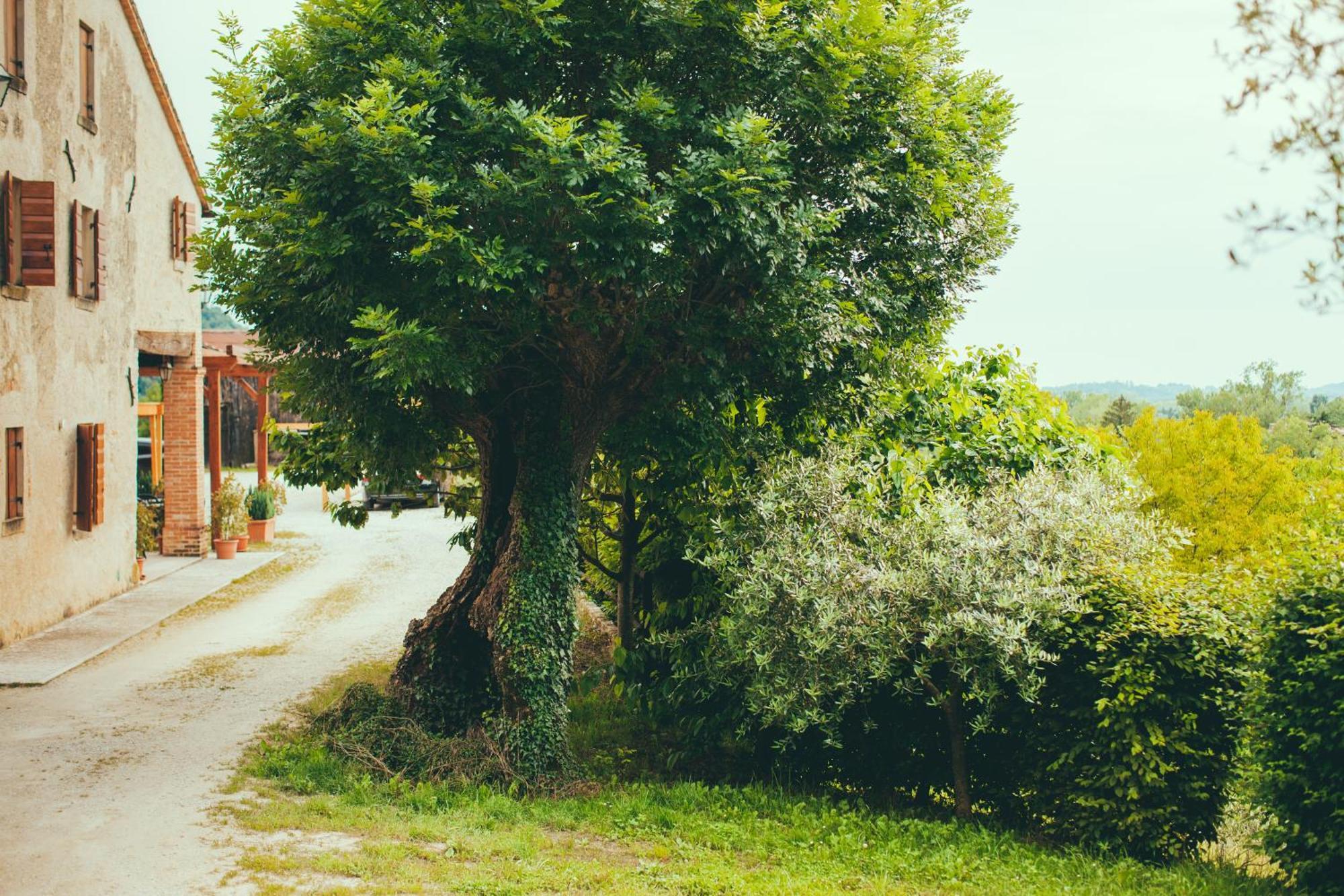 Asolo Norah'S Hill Agri Rooms Monfumo Exterior photo
